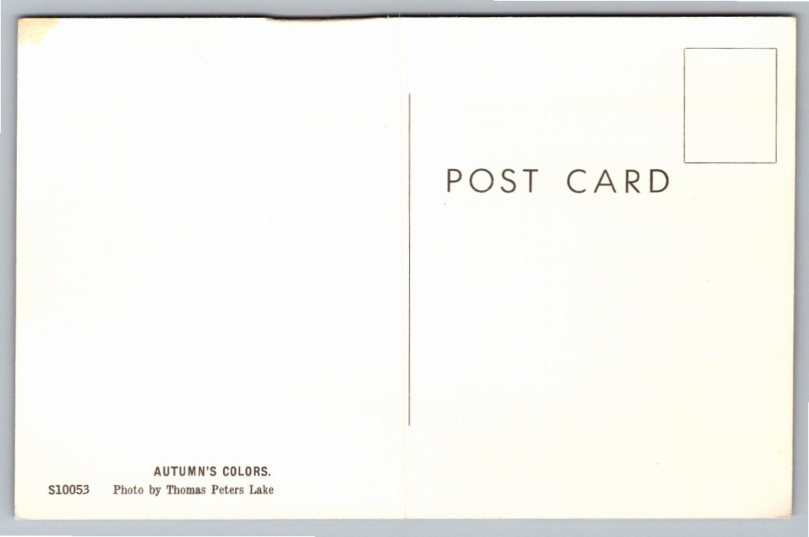 Vintage Autumn Foliage Lake Reflection Postcard by Thomas Peters - Back / Reverse View