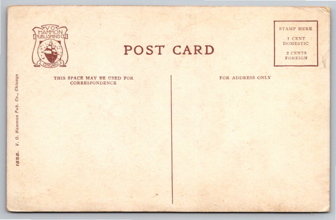 Vintage 1907 Hotel Sherman Chicago Postcard | Streetcars & Autos - Back / Reverse View
