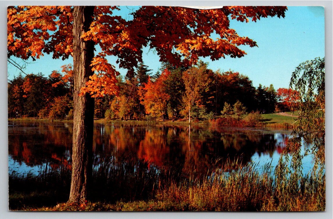Vintage Autumn Foliage Lake Reflection Postcard by Thomas Peters