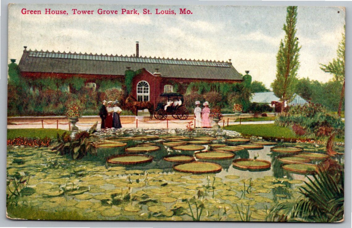 1910 St. Louis MO Tower Grove Park Green House Vintage Postcard