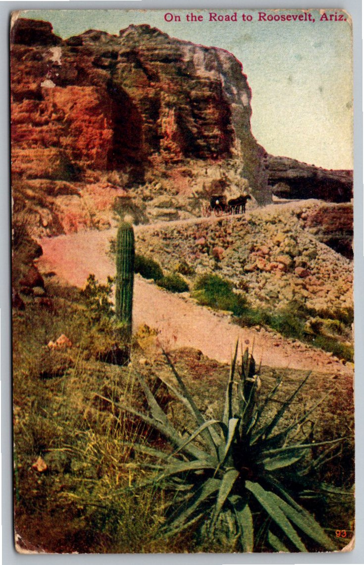 Vintage 1900s Arizona Postcard: Road to Roosevelt Desert Wagon