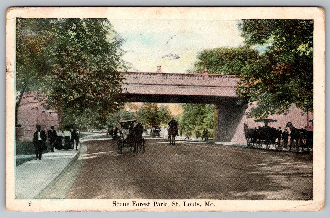 1909 St. Louis Missouri Forest Park Postcard: Horse Carriage