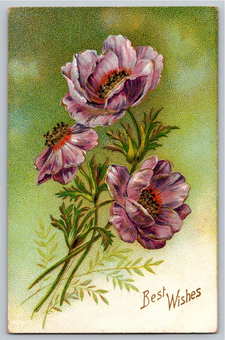 Vintage 1910s Embossed Purple Anemones Best Wishes German