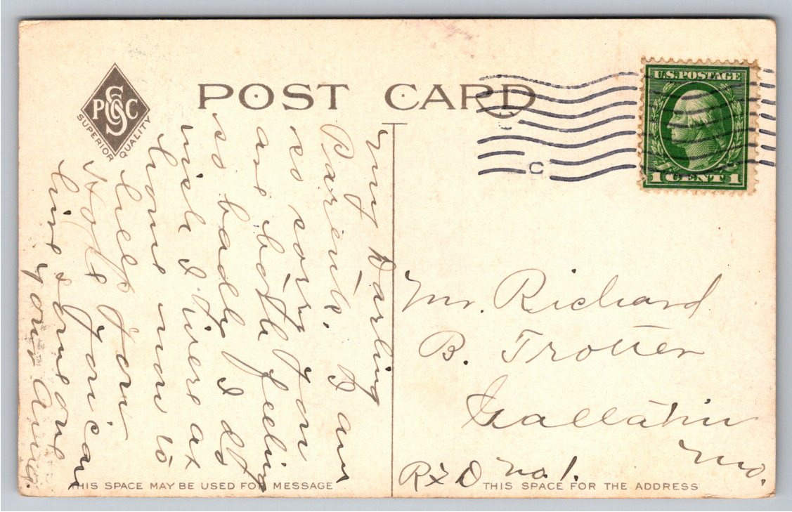 1910s St. Louis Central Public Library Vintage Litho Postcard - Back / Reverse View