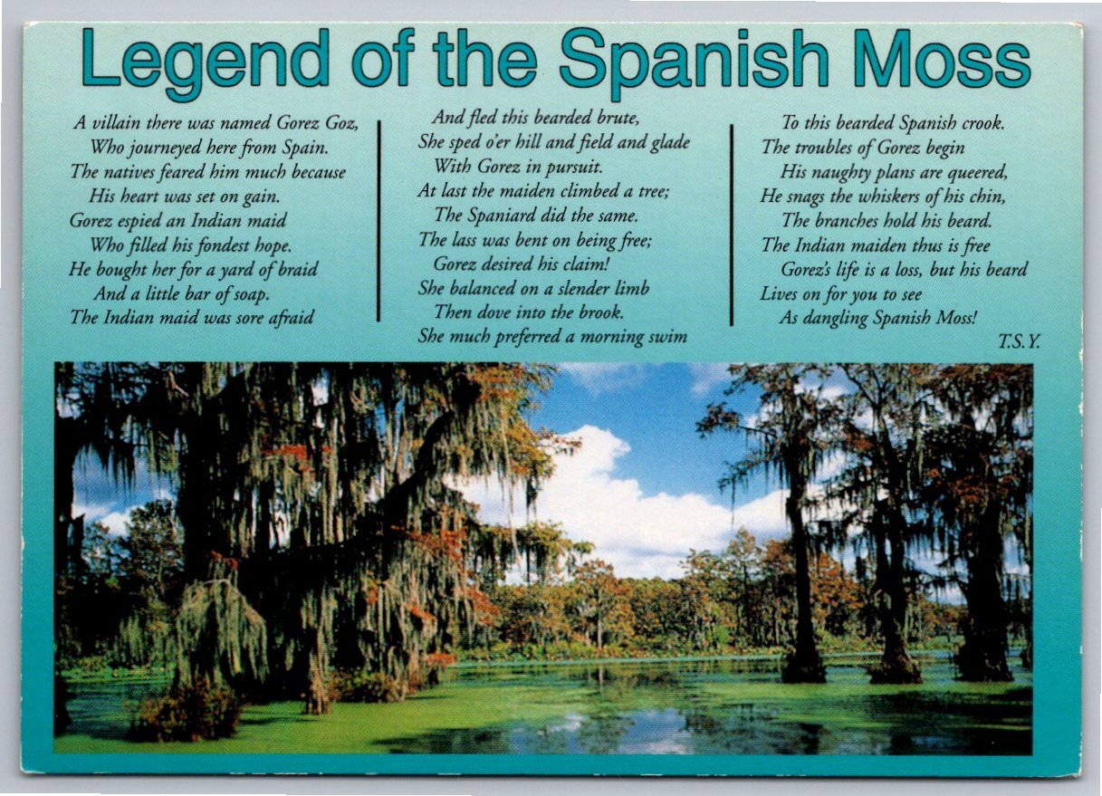 Legend of Spanish Moss Carolina Low Country Vintage Postcard