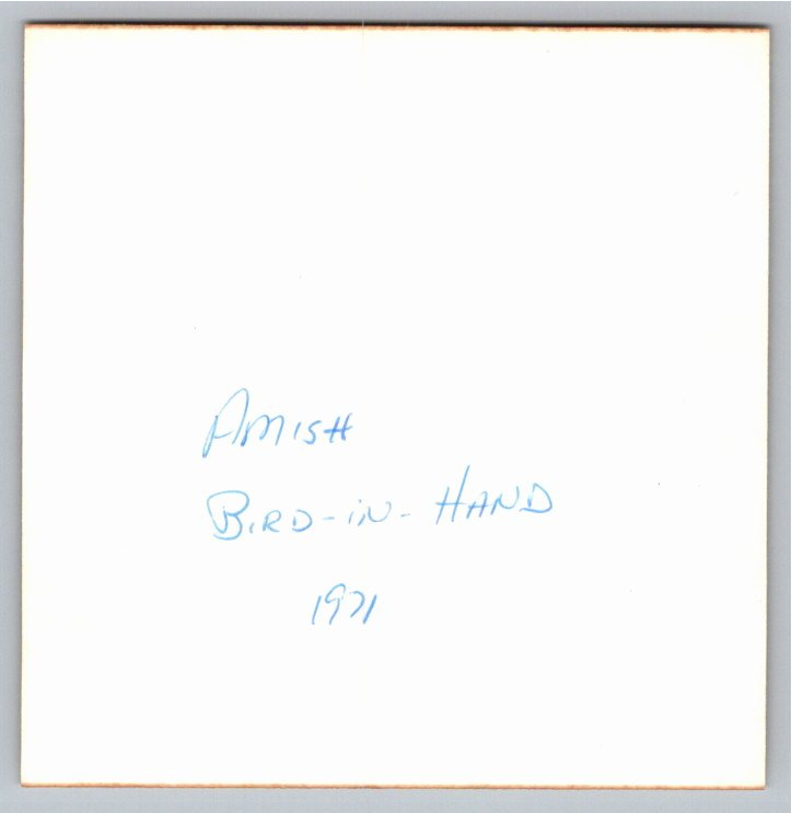 Vintage 1971 Amish Carriage Photo: Bird-in-Hand, Pennsylvania - Back / Reverse View