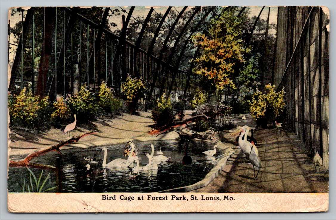 Vintage 1911 Forest Park Bird Cage Postcard St. Louis Missouri