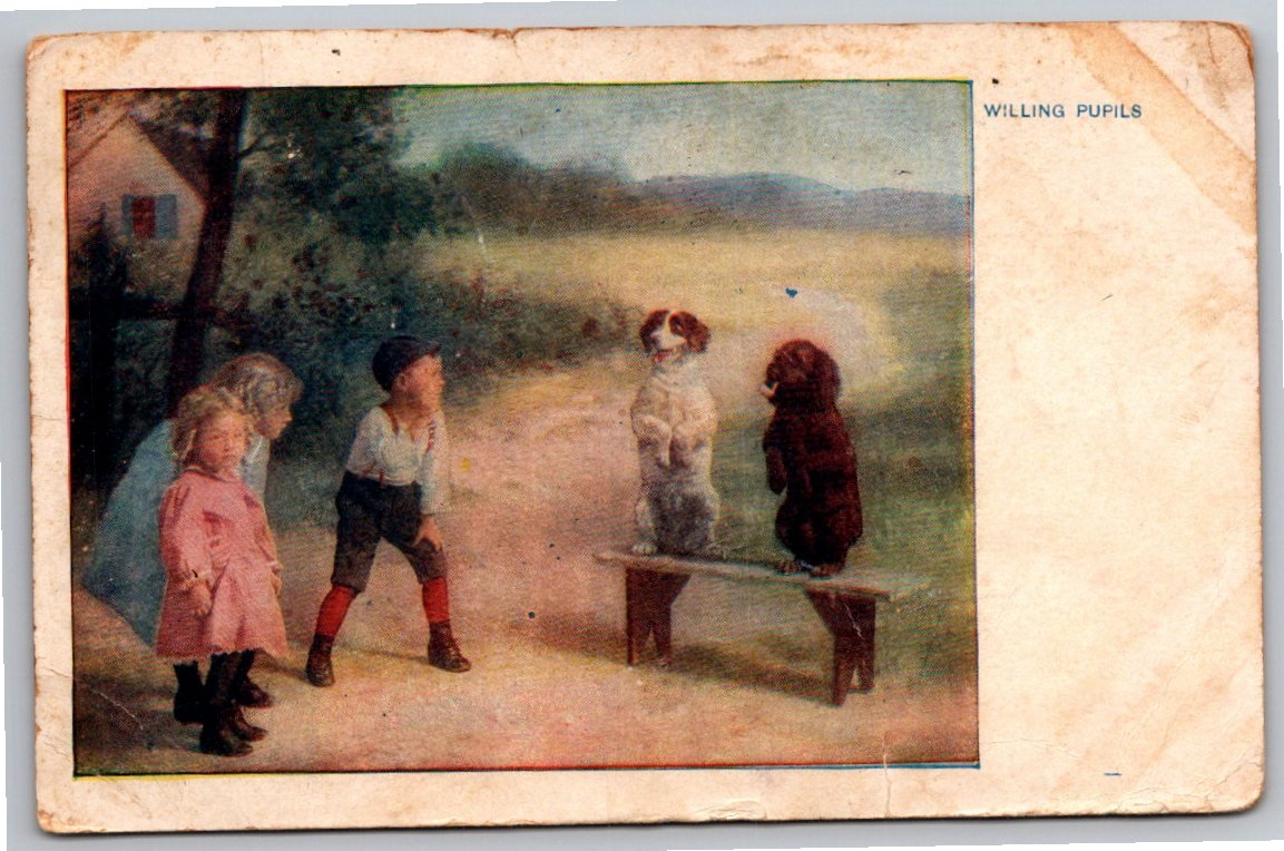 1908 Antique Postcard 'Willing Pupils' Children & Performing Dogs