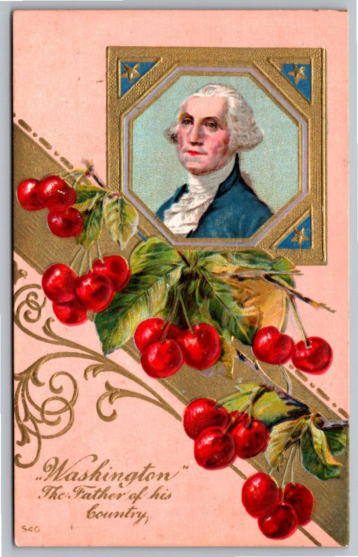 Antique Embossed George Washington Postcard with Cherries c. 1907