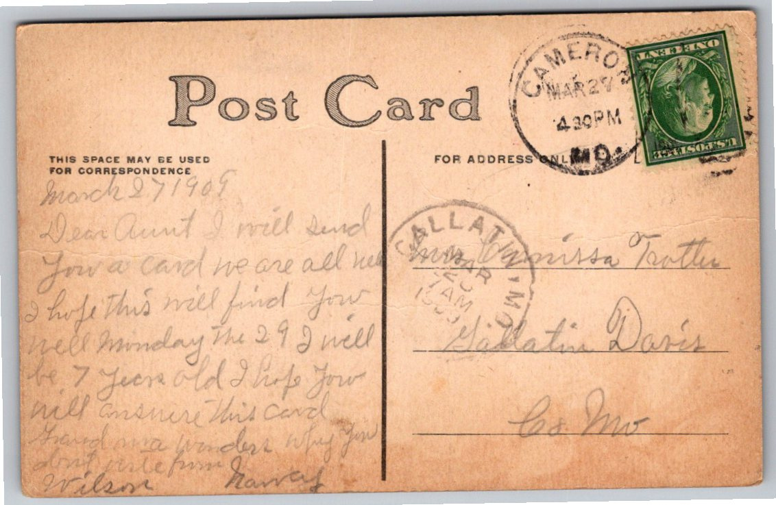 1909 Peach & Grapes Still Life Wood Grain Antique Postcard - Back / Reverse View