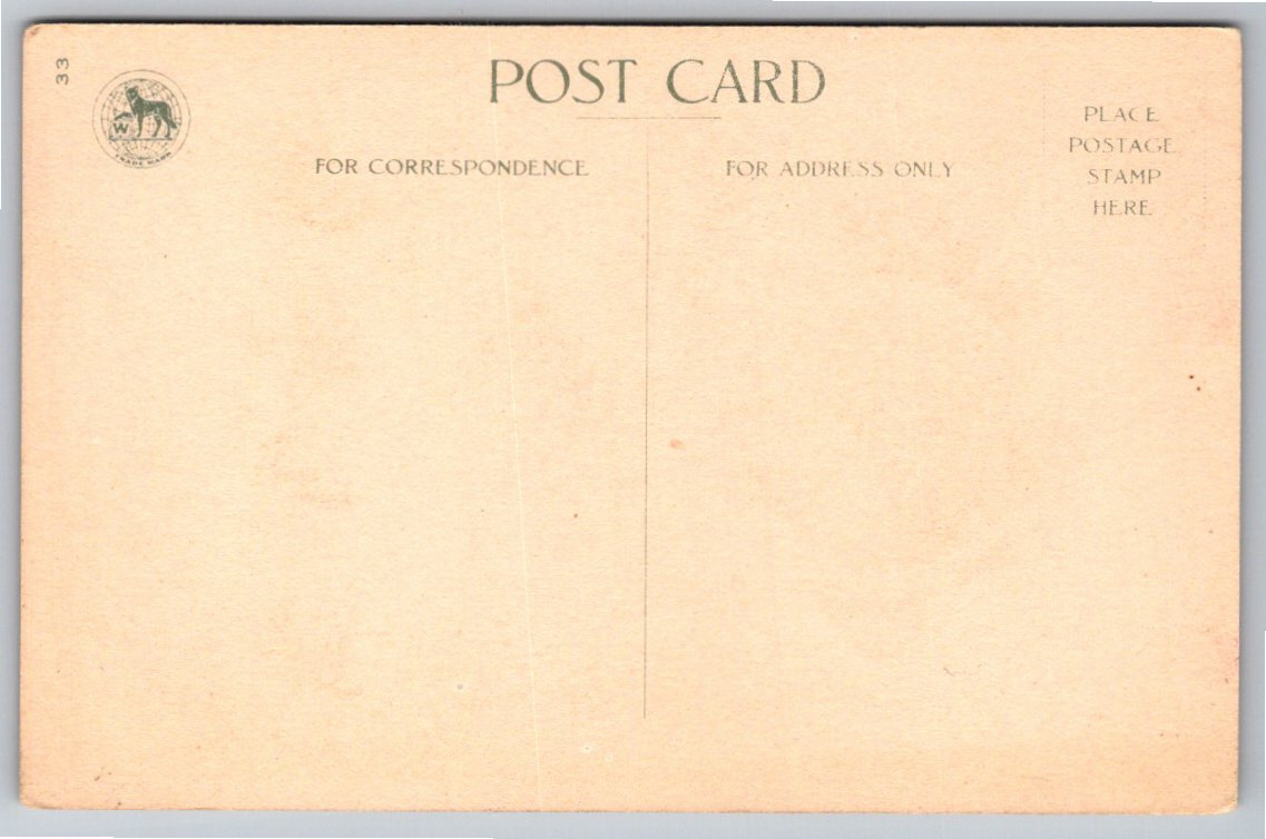 Antique 1910s Wolf & Co. Thanksgiving Postcard: Cornucopia & - Angle / View 2