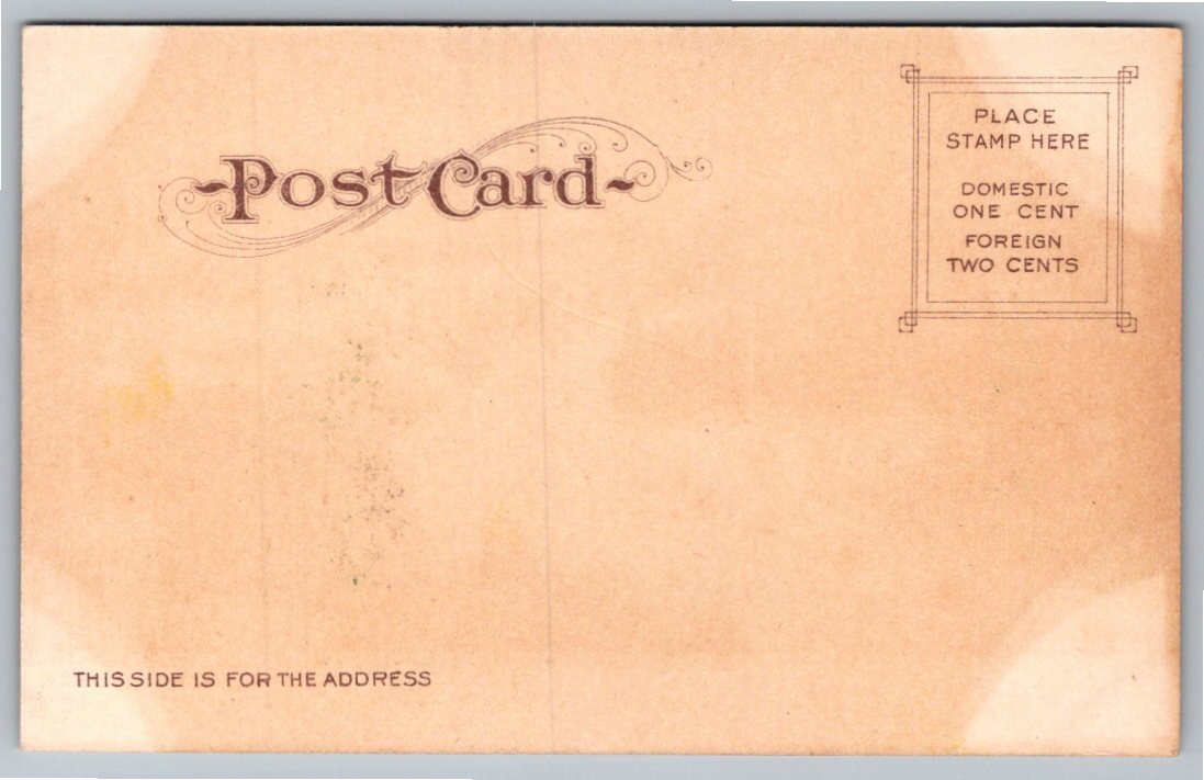 Antique Sawtelle Soldiers Home Postcard | Edward H Mitchell CA - Back / Reverse View