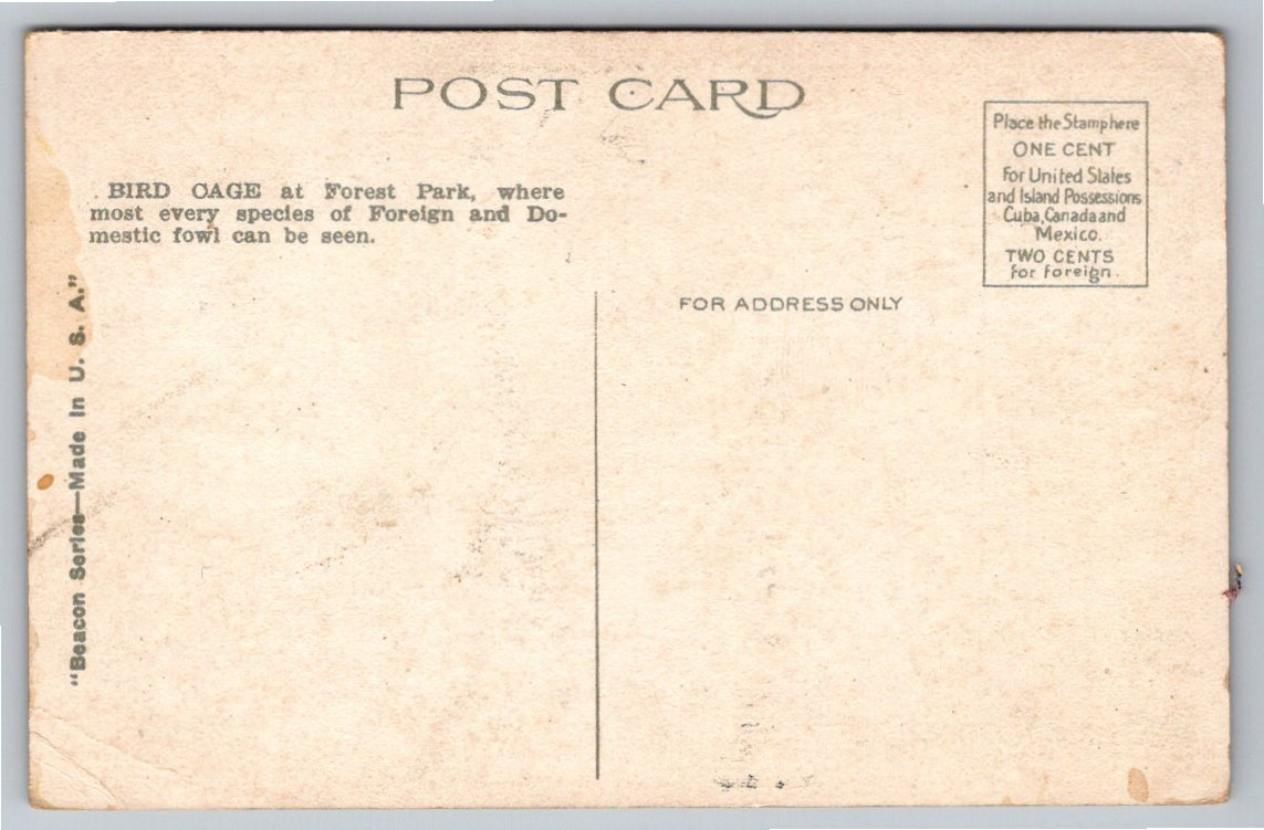 1920s St. Louis Zoo Flight Cage Vintage Postcard | Forest Park MO - Back / Reverse View
