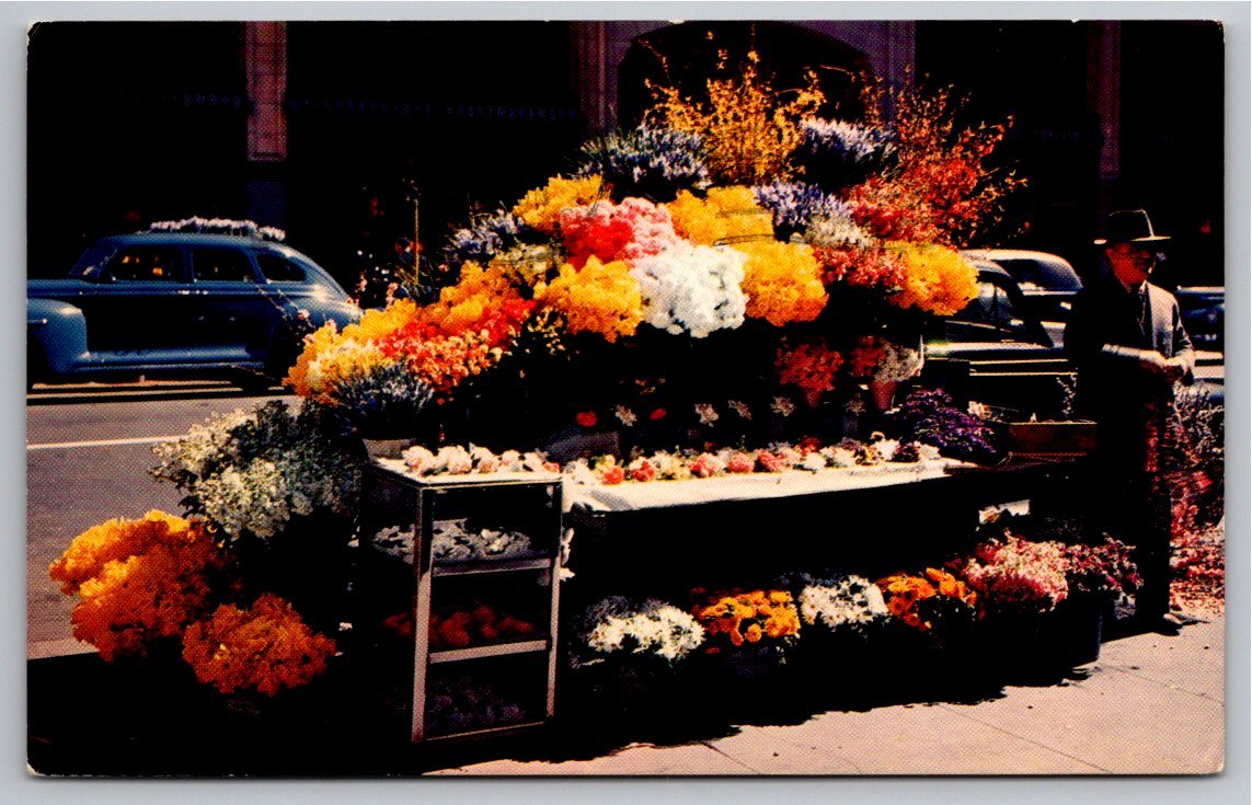Vintage 1965 San Francisco Flower Stand Postcard by Mike Roberts