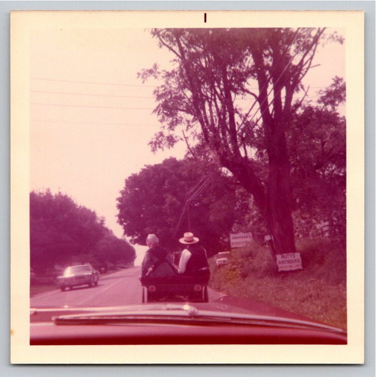 1971 Amish Horse Buggy Photos Bird-in-Hand Pennsylvania Snapshots