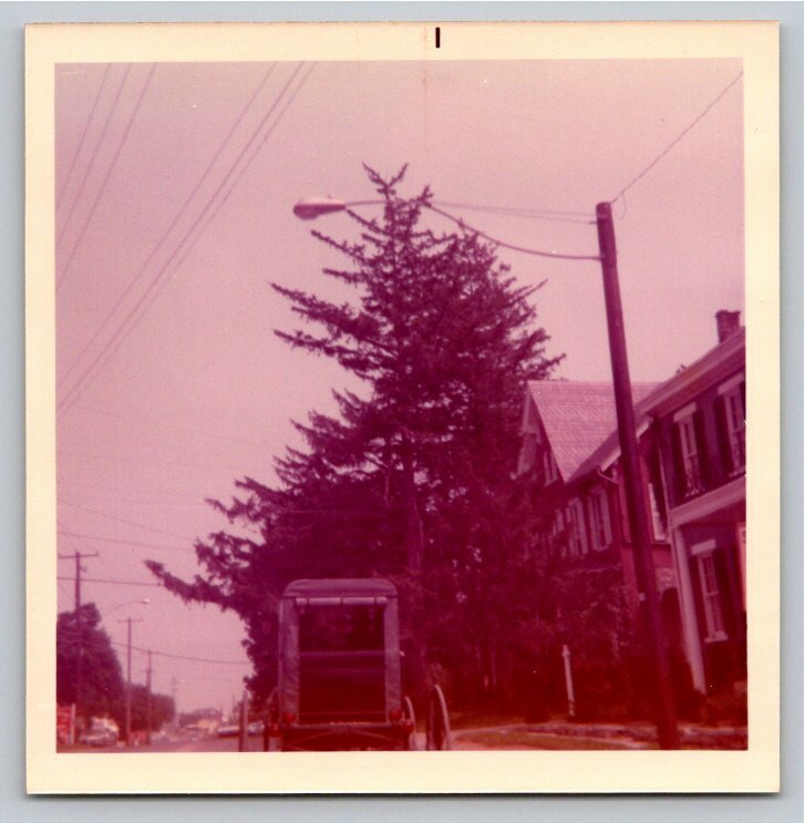 Vintage 1971 Amish Carriage Photo: Bird-in-Hand, Pennsylvania