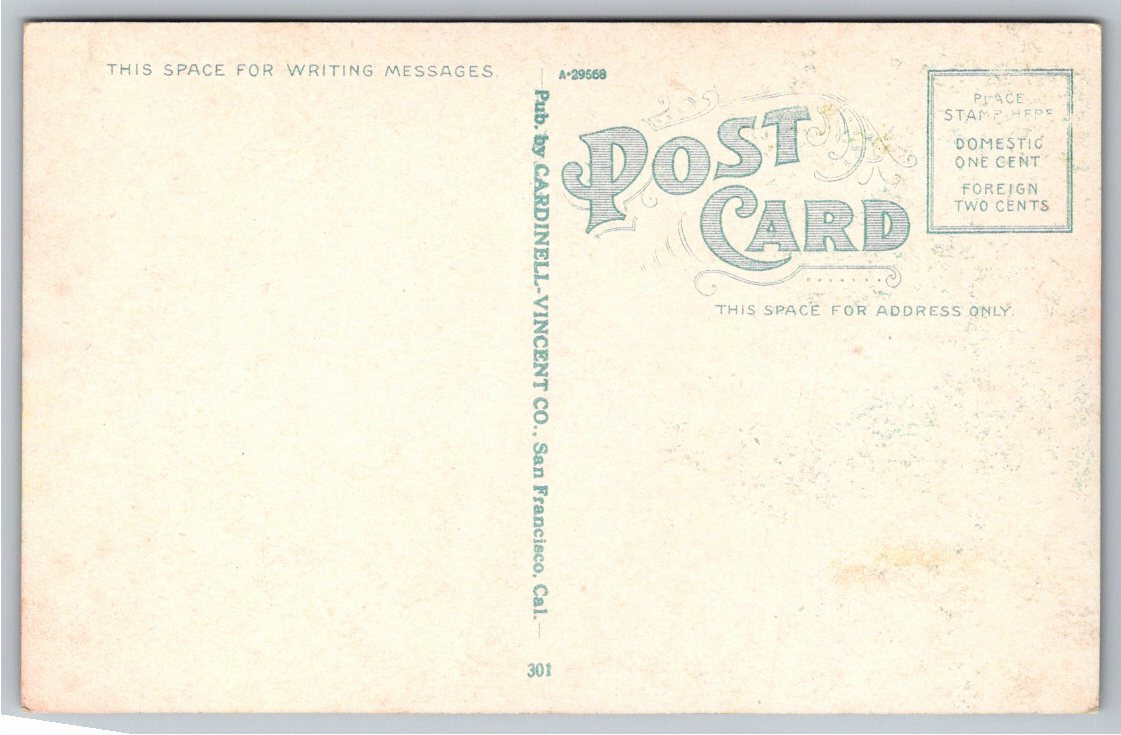1900s Shasta Springs Resort Shasta Route California Postcard - Back / Reverse View