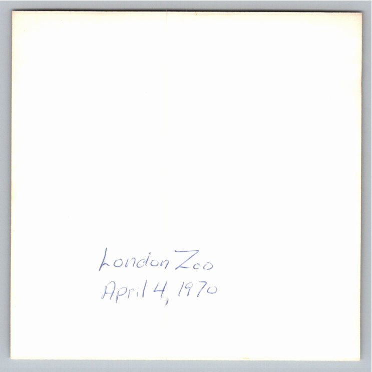 Vintage 1970 London Zoo Mountain Goat Silhouette Photo Snapshot - Back / Reverse View