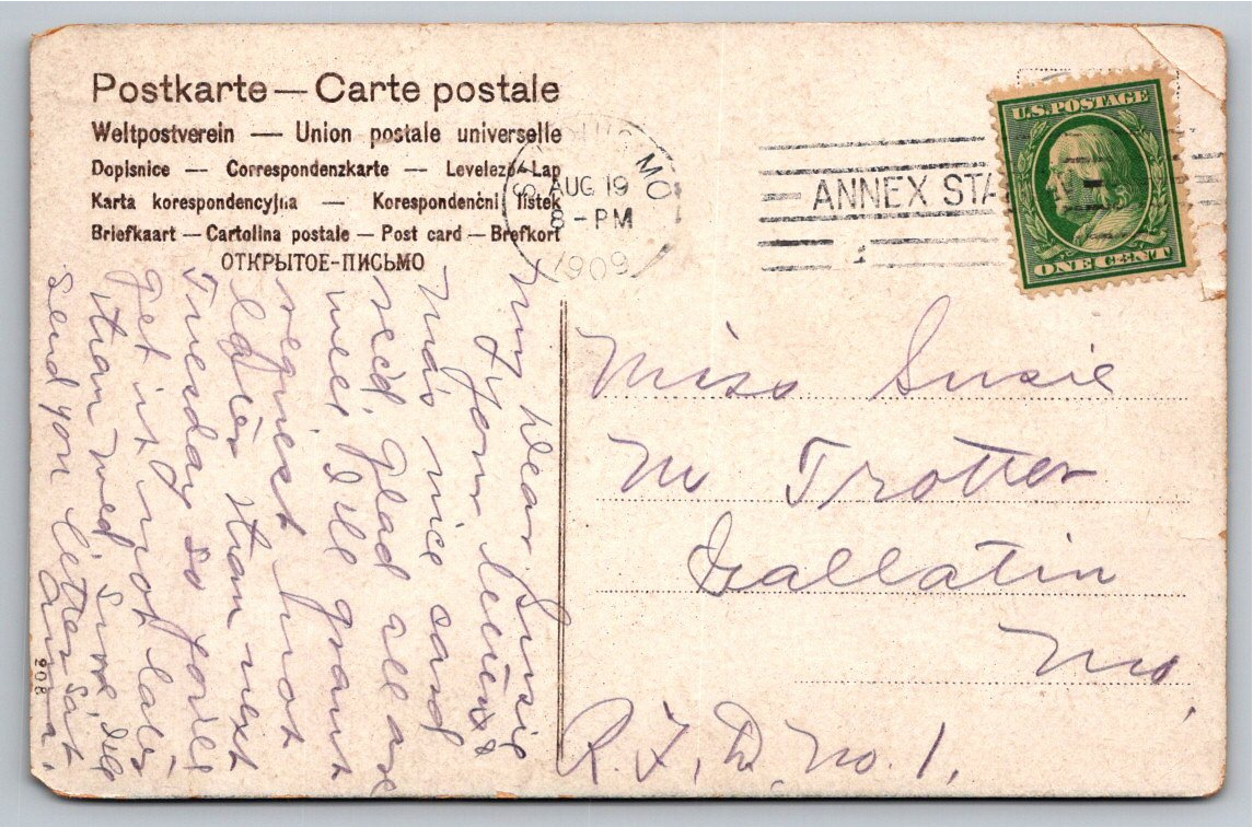 Vintage 1909 Alpine Mountain Road & Cattle Herd Scenic Postcard - Back / Reverse View