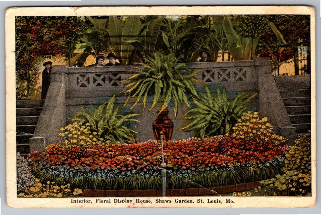 1920 Shaw's Garden Floral Display House St. Louis Vintage