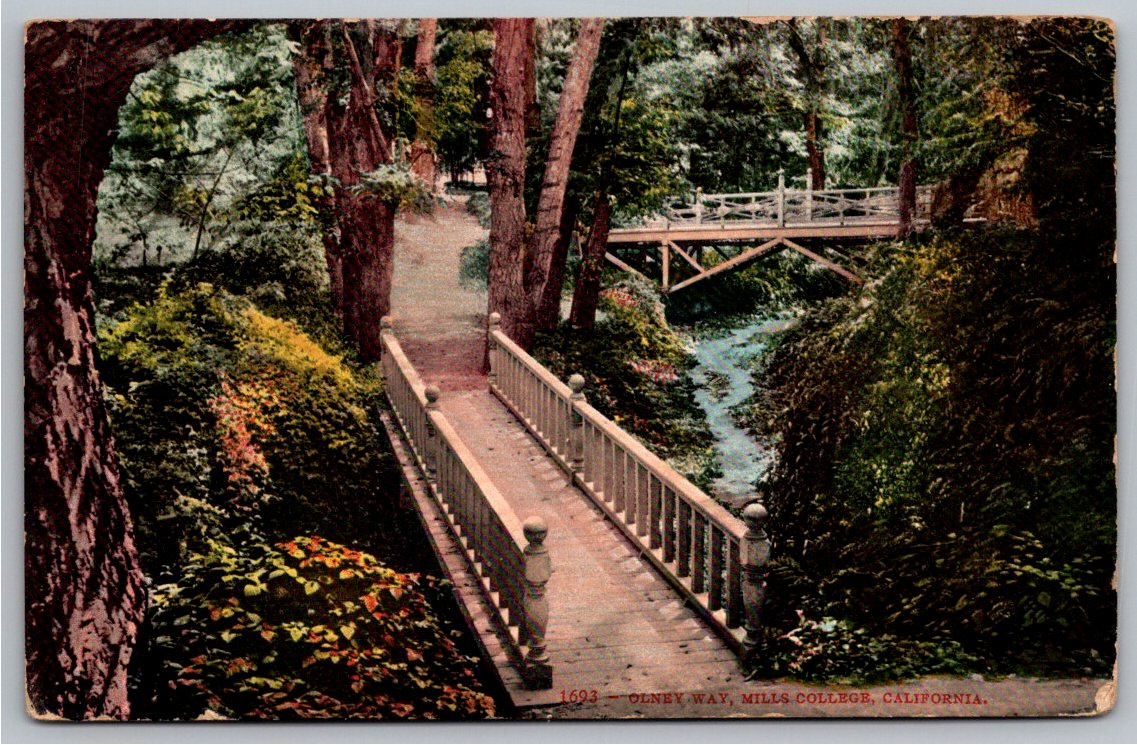 Vintage 1910 Mills College Oakland Postcard: Olney Way Bridge