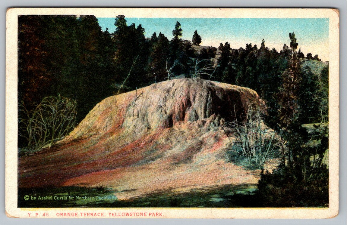 1926 Yellowstone Postcard: Asahel Curtis Northern Pacific