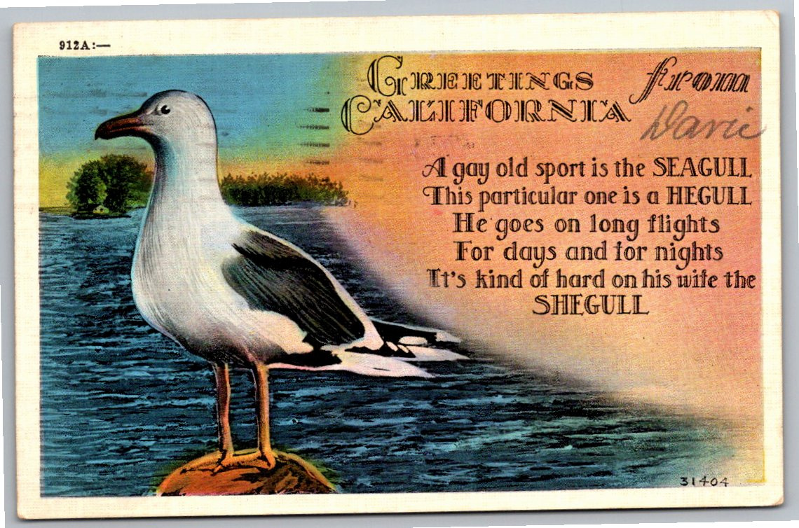 1937 California Seagull Hegull Shegull Poem Vintage Postcard