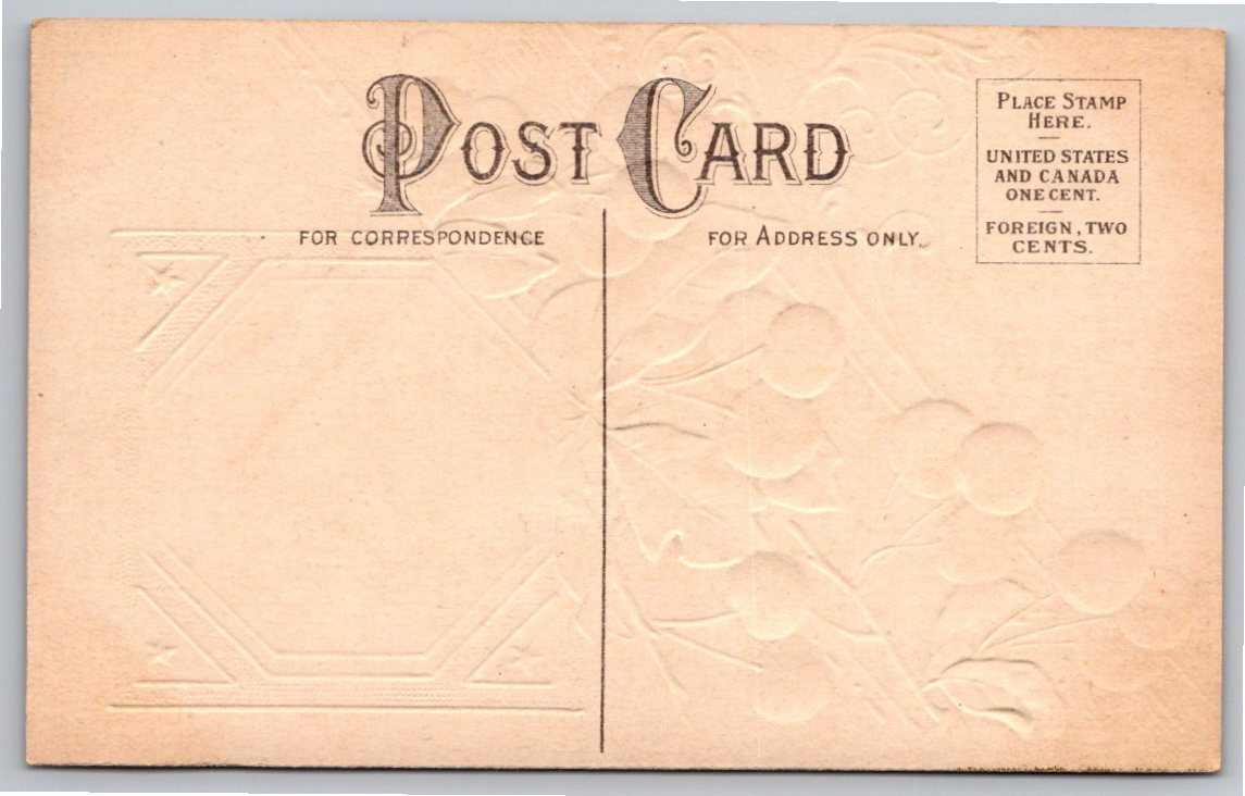 Antique Embossed George Washington Postcard with Cherries c. 1907 - Back / Reverse View