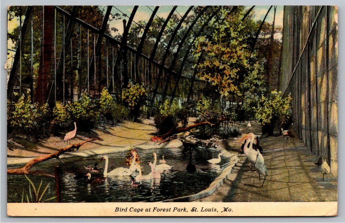 1910 Forest Park Aviary Postcard: St. Louis Zoo Giant Bird Cage