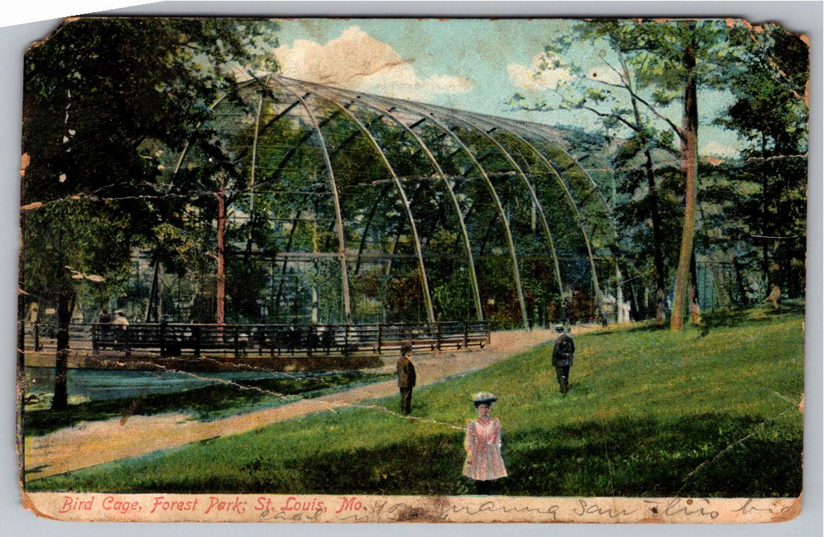 Vintage 1914 Forest Park Bird Cage Aviary Postcard St. Louis MO