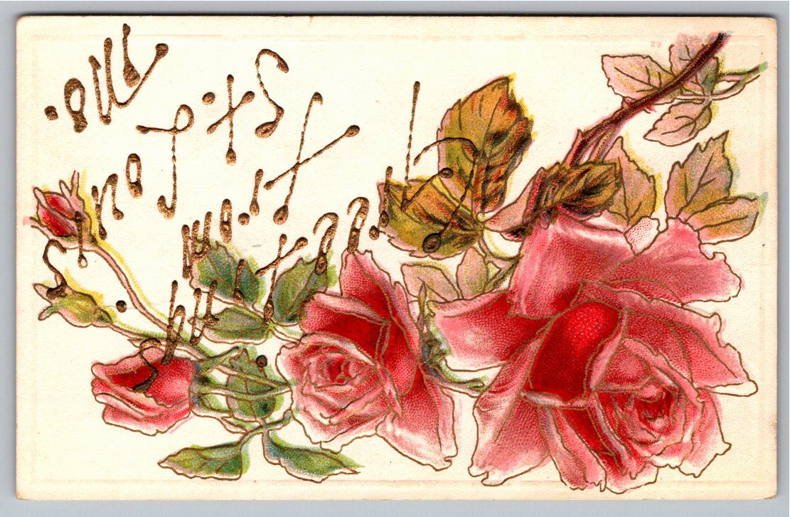1913 St. Louis Floral Postcard: Embossed Pink Roses with Gold