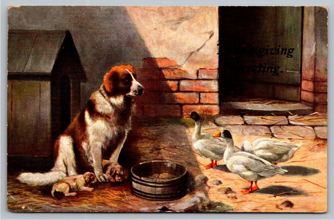 Antique 1908 Thanksgiving Postcard: St. Bernard Dog & Ducks
