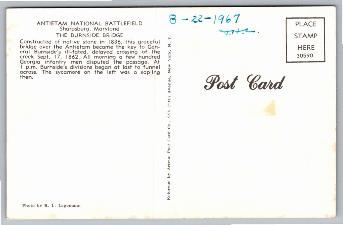 Antietam National Battlefield Postcard: Cornfield Avenue Civil - Angle / View 3