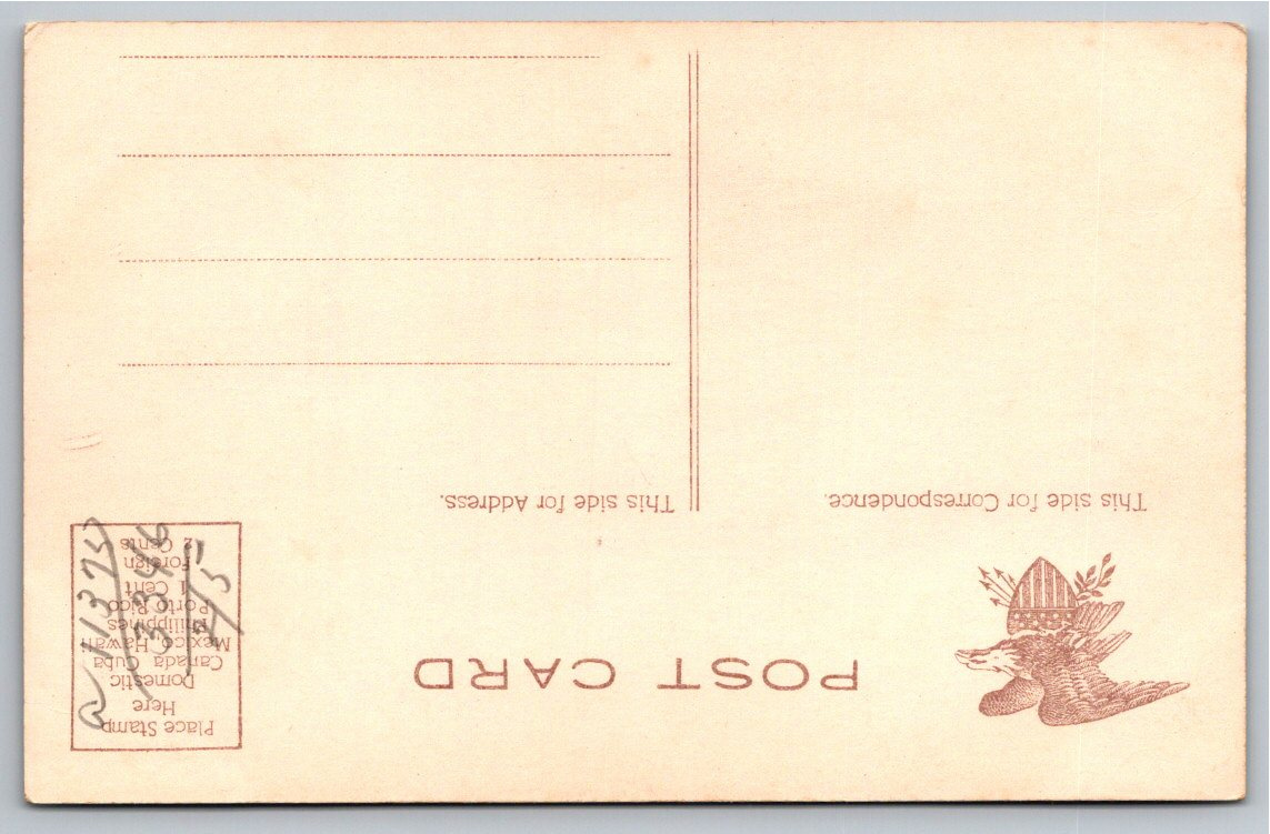 Antique 1900s St. Louis Union Station Horse Carriage Postcard - Back / Reverse View