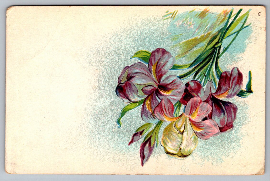 Antique 1912 Embossed Floral Iris Postcard Sent from Eunice