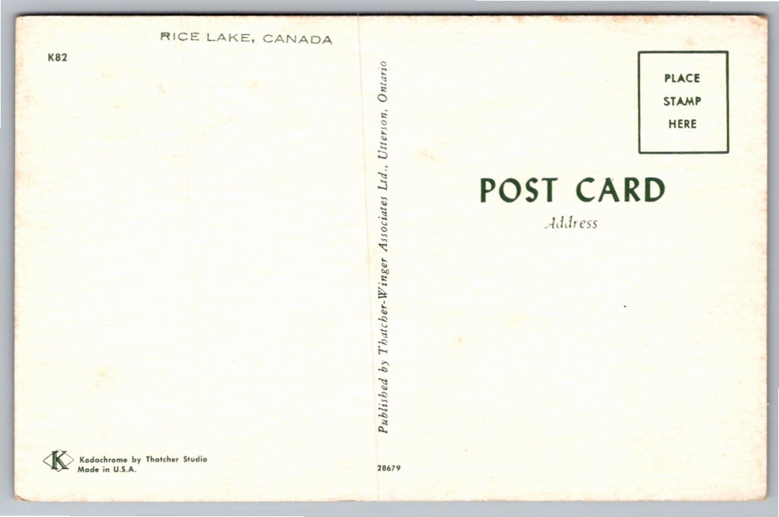 Vintage Rice Lake Canada Sunset Postcard | Thatcher Studio K82 - Back / Reverse View
