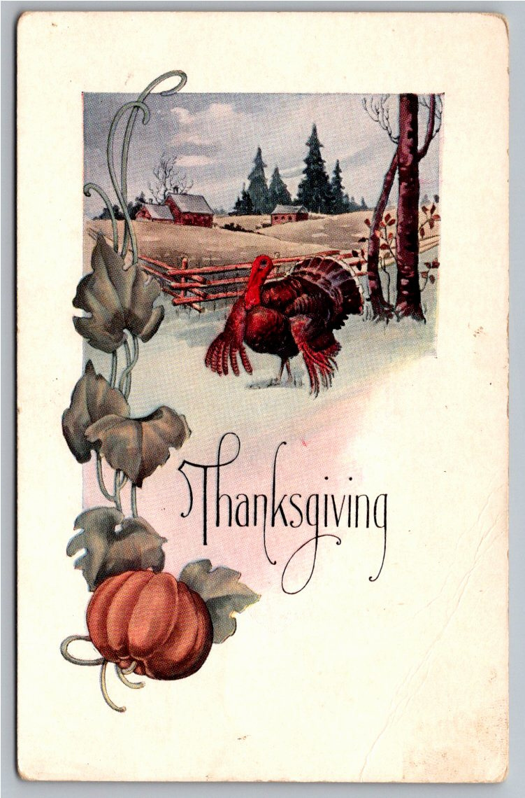 Antique 1914 Thanksgiving Postcard: Farmhouse Turkey & Pumpkin