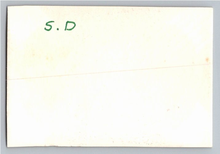 Vintage 1940s South Dakota Ranch Snapshot: Women & Horse Herd - Back / Reverse View