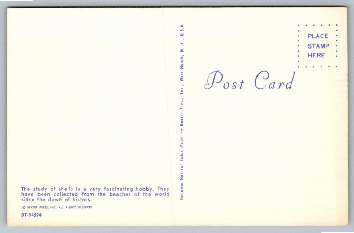 Vintage 1956 The Story of Shells Poem Postcard by Dexter Press - Back / Reverse View
