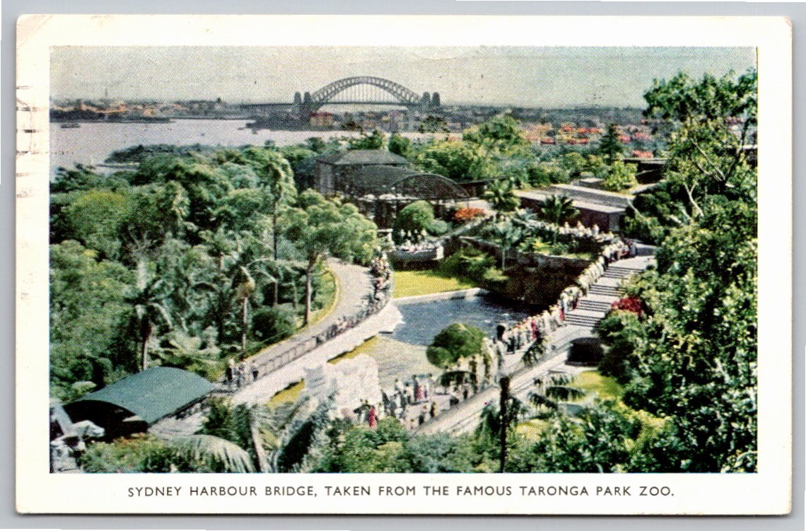 Vintage 1956 Sydney Harbour Bridge Postcard Abbott Pentothal