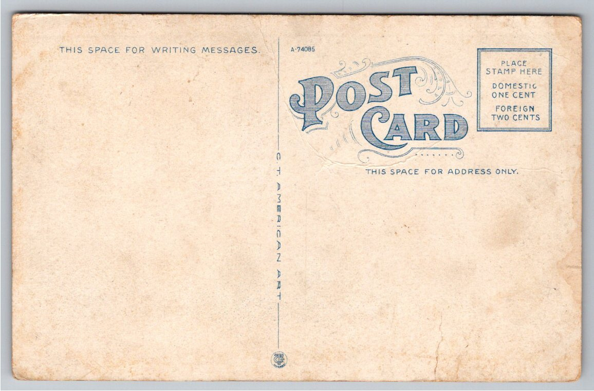 Vintage c1915 French Opera House New Orleans Night Postcard - Back / Reverse View
