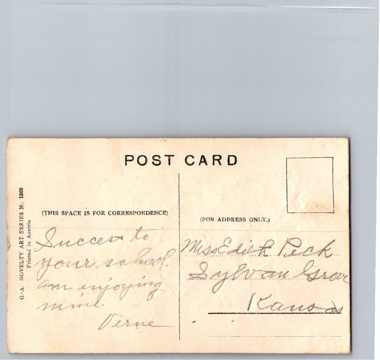 1910 Embossed Pink Floral Birthday Greetings Vintage Austrian - Back / Reverse View