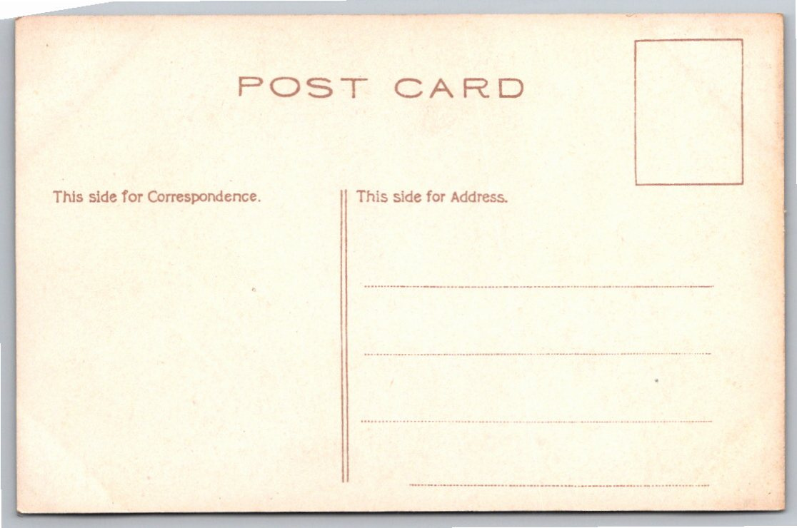 Vintage 1900s Niagara Falls NY Third Sister Island Bridge - Back / Reverse View