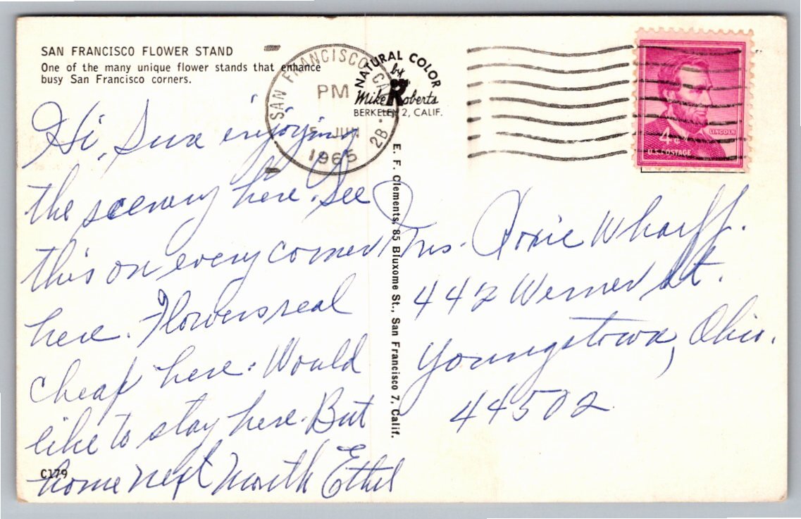Vintage 1965 San Francisco Flower Stand Postcard by Mike Roberts - Back / Reverse View