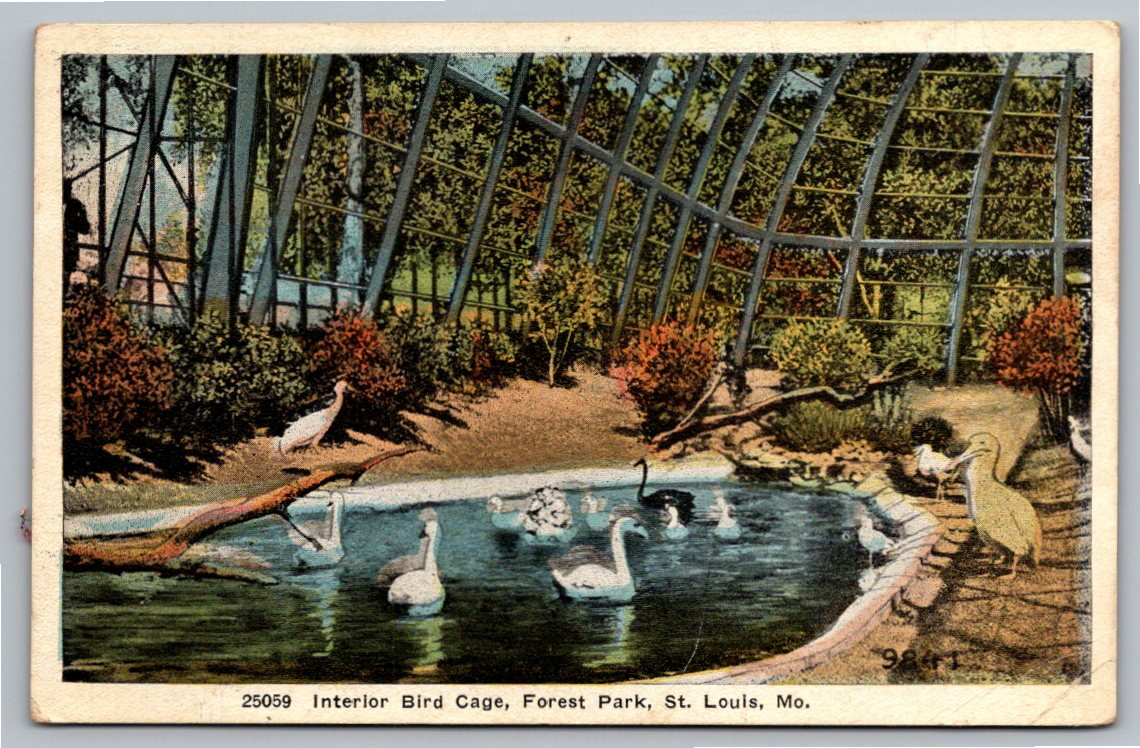 1920s St. Louis Zoo Flight Cage Vintage Postcard | Forest Park MO