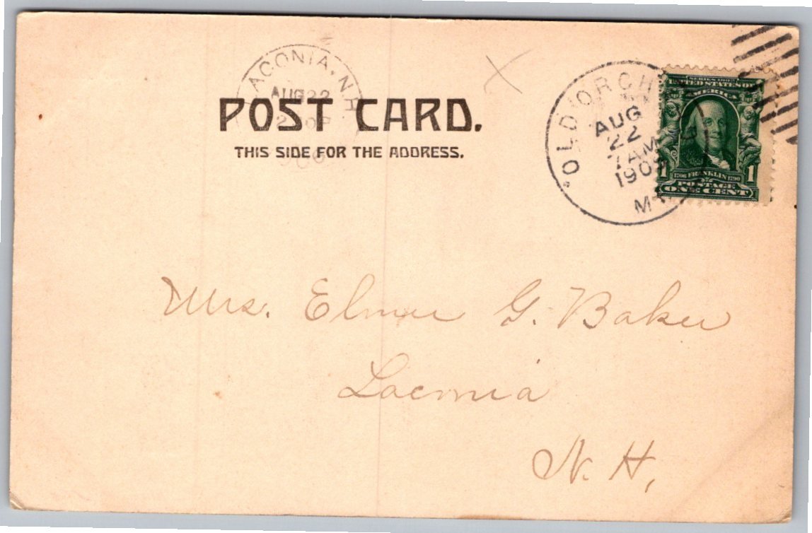 Vintage 1905 Giant Tree North Conway NH Undivided Back Postcard - Back / Reverse View