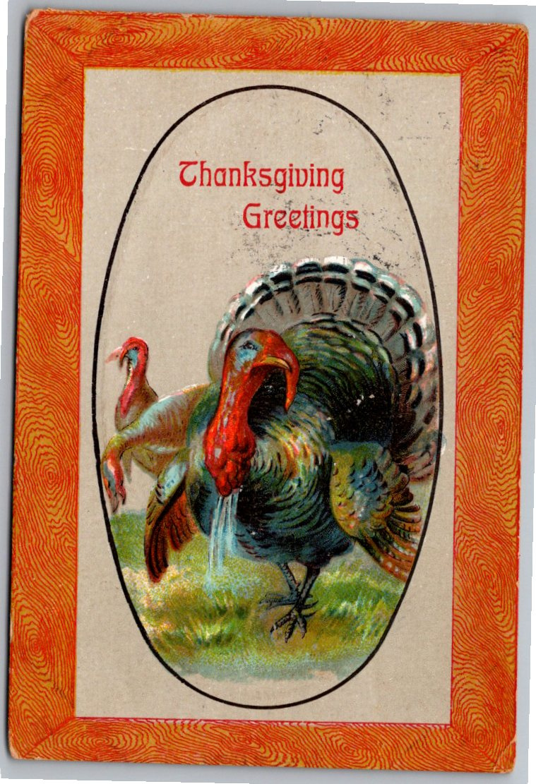 1908 Antique Thanksgiving Postcard with Turkey & Faux Wood Frame