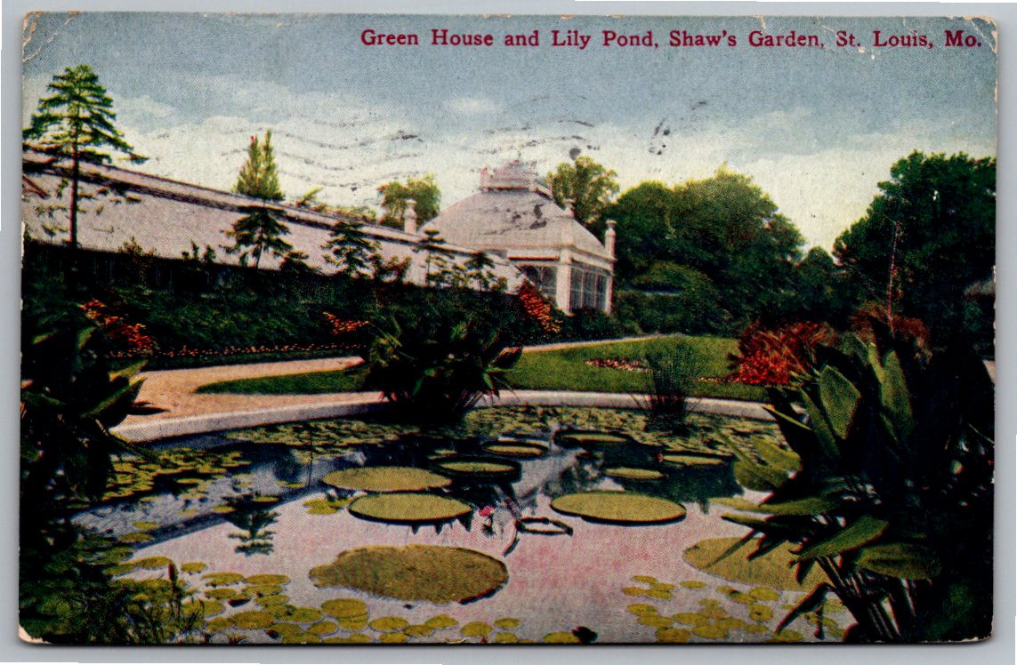 1910 Shaw's Garden St. Louis Greenhouse & Lily Pond Postcard