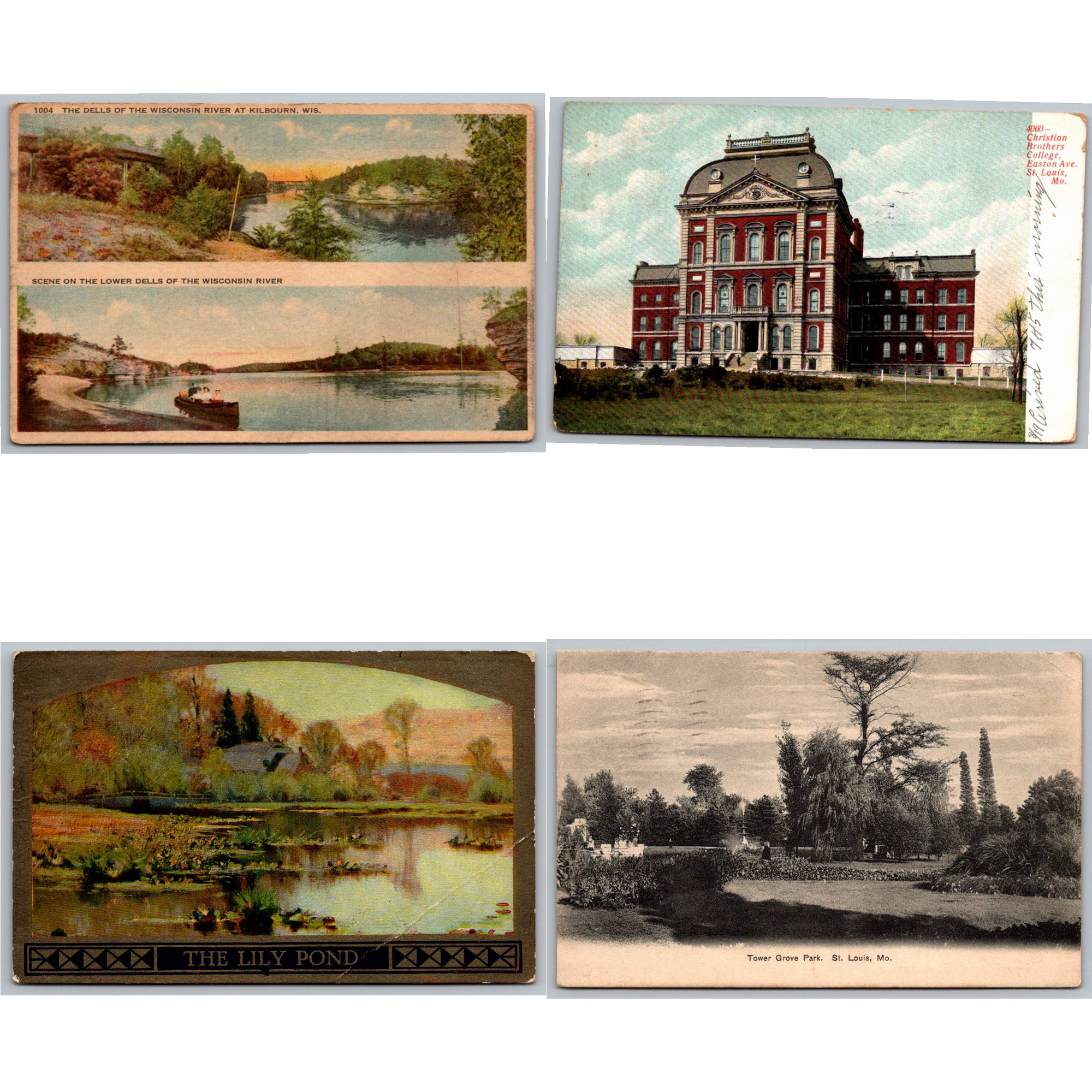 Antique Early 1900s Floral & Scenic Postcards Collection (Set of