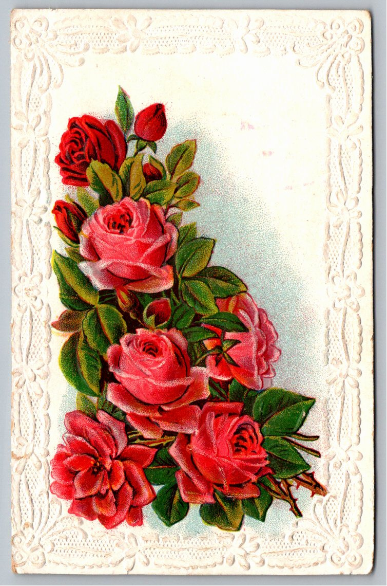 Antique 1900s Embossed Red Roses German Lace Border Postcard
